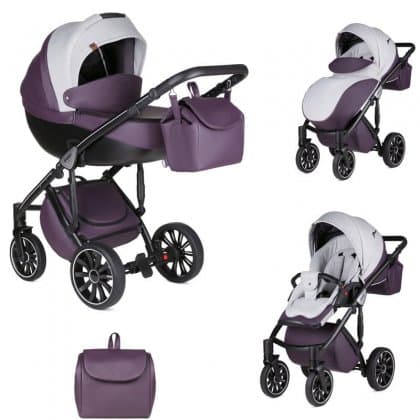 Детская коляска Anex Sport Discovery 2 в 1 SE02 Lavender Field 2018
