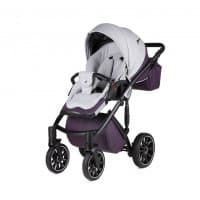 Детская коляска Anex Sport Discovery 3 в 1 