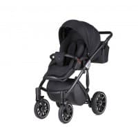 Коляска Anex Sport 2 в 1 