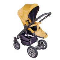 Коляска Lonex Sweet Baby Pastel 2 в 1 P-03